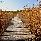 Провожаем осень
