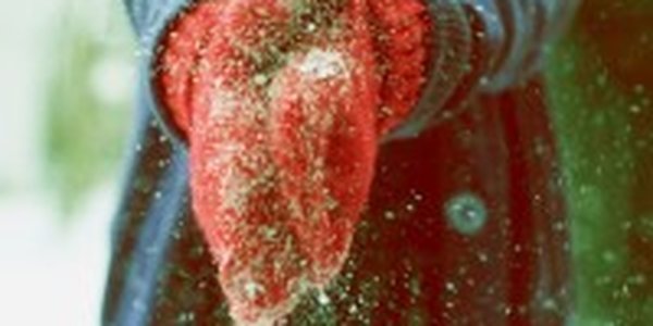 Снежный День Выборов во Владивостоке