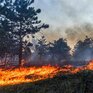 На выходных в Приморье увеличится территория с высоким классом пожарной опасности леса
