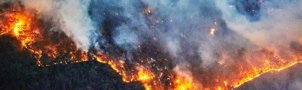 Внимание! Высокий класс пожарной опасности в западных районах Приморья