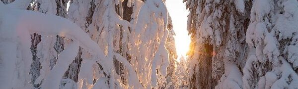 Сорокаградусные морозы нагрянут в Приморье в пятницу ночью