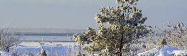 Период теплой погоды в Приморье закончился