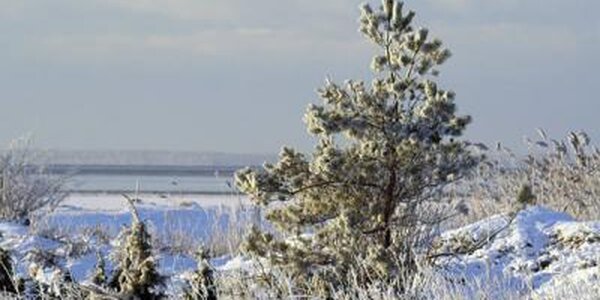 Период теплой погоды в Приморье закончился