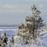 Период теплой погоды в Приморье закончился