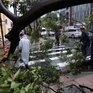 К Японии приближается циклон «Дуджуан»