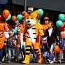 Горожан и гостей Владивостока приглашают на День тигра