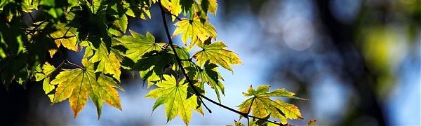 Сентябрь в Приморье оказался теплым и экстремально сухим