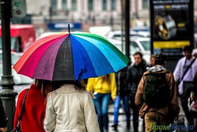 Атмосферные фронты принесли дожди в Приморье Атмосферные фронты принесли дожди в Приморье