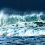 Российские ученые: Радиации в Японском море нет