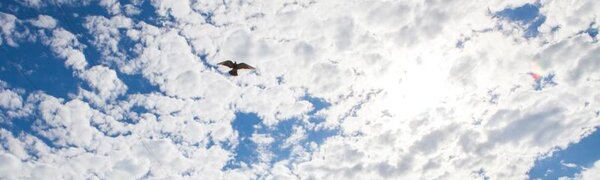 На побережье Приморья на выходных будет прохладно