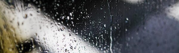 Первая неделя июня в Приморье будет дождливой