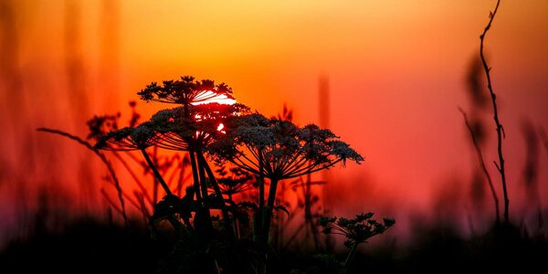 В четверг воздух во Владивостоке прогреется до +30°C