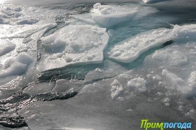 Процесс ледообразования в Приморье идет активнее, чем в прошлом году