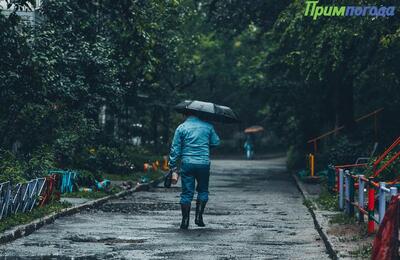 Завтра днём в Приморье начнутся дожди