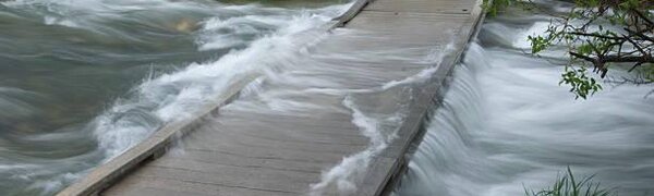 Максимальный уровень паводка проходит в Дальнереченском районе Приморья
