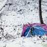 В среду на севере восточного побережья Приморья порывы ветра достигали 32 м/с
