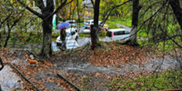 Июль начался дождями