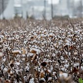 Две декадные нормы снега выпали во Владивостоке 8 февраля