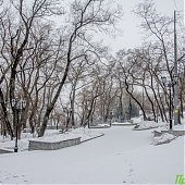 Две декадные нормы снега выпали во Владивостоке 8 февраля