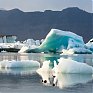 В течение 10 лет может произойти глобальная экологическая катастрофа