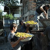 Осень 2010 глазами фотографов со всего мира(ФОТО)