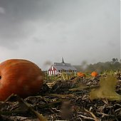 Осень 2010 глазами фотографов со всего мира(ФОТО)