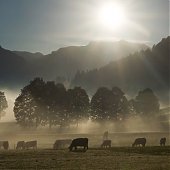 Осень 2010 глазами фотографов со всего мира(ФОТО)