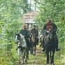 Прогулки в лесу избавляют от стресса