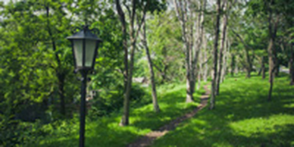 В выходные Владивосток попадет под влияние атмосферных фронтов