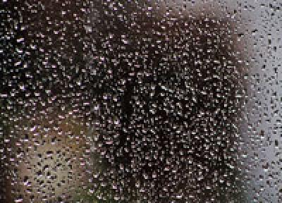 Циклон не желает покидать Приморский край