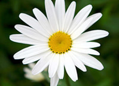 Вчера в Приморье было жарко 