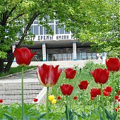 Скверы Владивостока: где можно посидеть на лавочке? (ФОТО)
