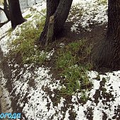 Апрельский снег во Владивостоке