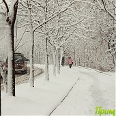 Апрельский снег во Владивостоке