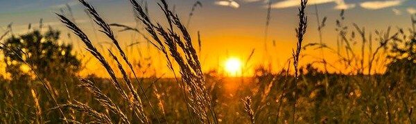 В Минприроды России предупредили о рисках рекордной жары этим летом