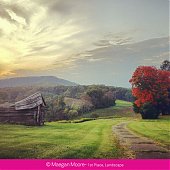 Победители конкурса фотографии iPhone Photography Awards 2013