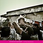 Победители конкурса фотографии iPhone Photography Awards 2013