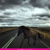 Победители конкурса фотографии iPhone Photography Awards 2013