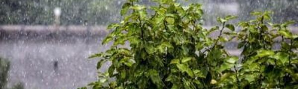 Южный циклон может серьезно испортить погоду в начале следующей недели