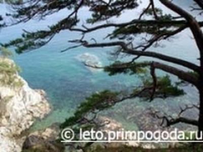 Японскому морю радиоактивное загрязнение не угрожает Японскому морю радиоактивное загрязнение не угрожает