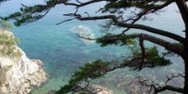 Японскому морю радиоактивное загрязнение не угрожает