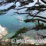 Японскому морю радиоактивное загрязнение не угрожает