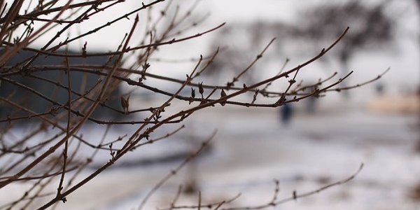 Климатический портрет ноября в Приморье