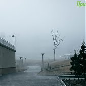 1 апреля на побережье Приморья будет ветрено и прохладно