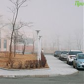 1 апреля на побережье Приморья будет ветрено и прохладно