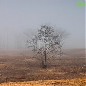 1 апреля на побережье Приморья будет ветрено и прохладно