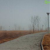 1 апреля на побережье Приморья будет ветрено и прохладно