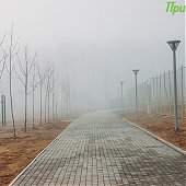 1 апреля на побережье Приморья будет ветрено и прохладно