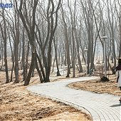 1 апреля на побережье Приморья будет ветрено и прохладно