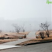 1 апреля на побережье Приморья будет ветрено и прохладно
